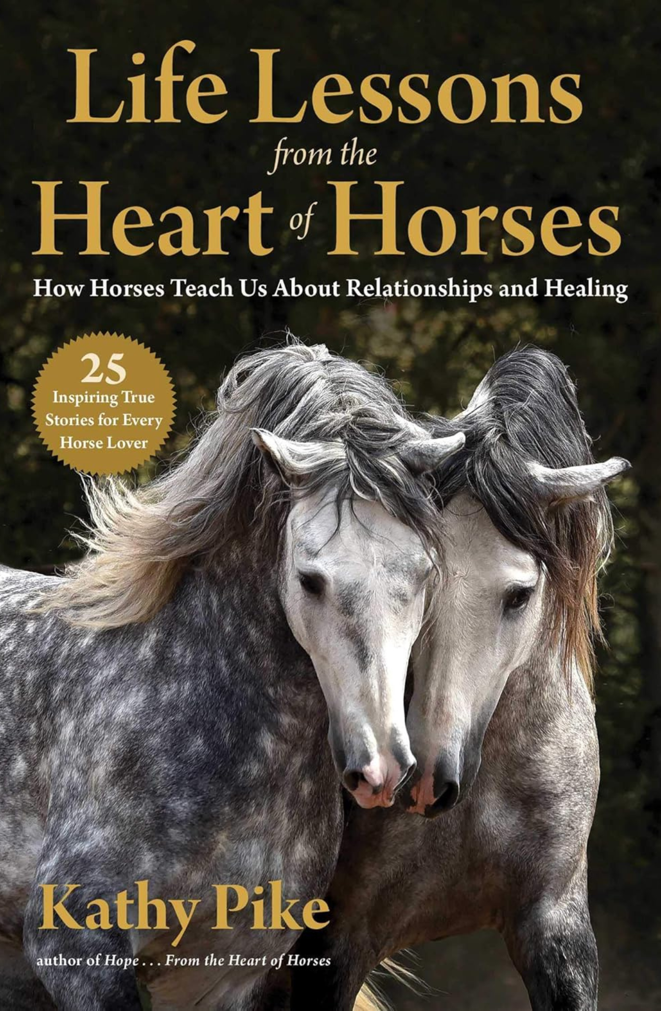 Life Lessons Horses