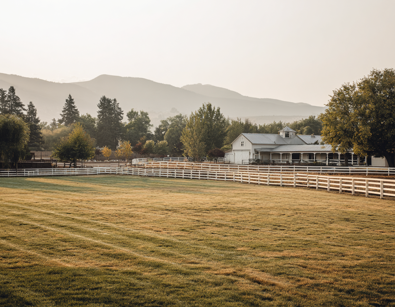 Smarter Horse Care Horse Horse Ranch